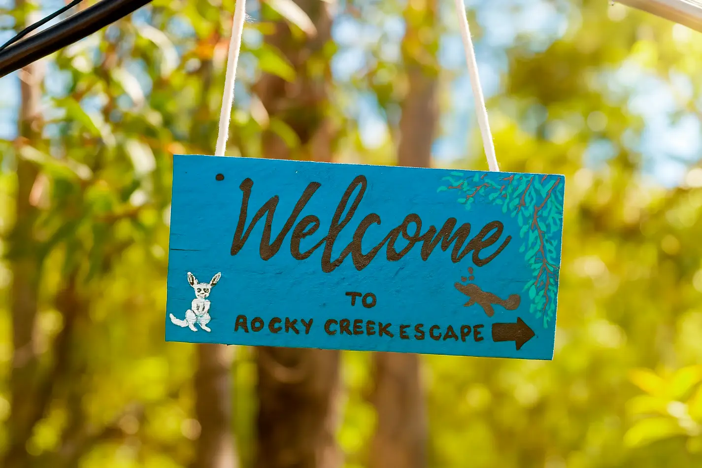 Wild Horse Homestead Rocky Creak Escape