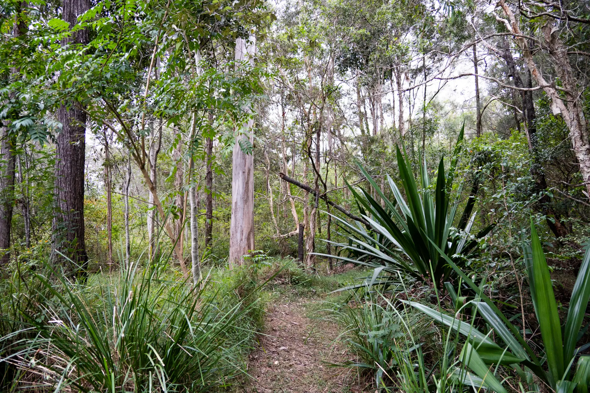 Wild Horse Homestead Rocky Creak Escape