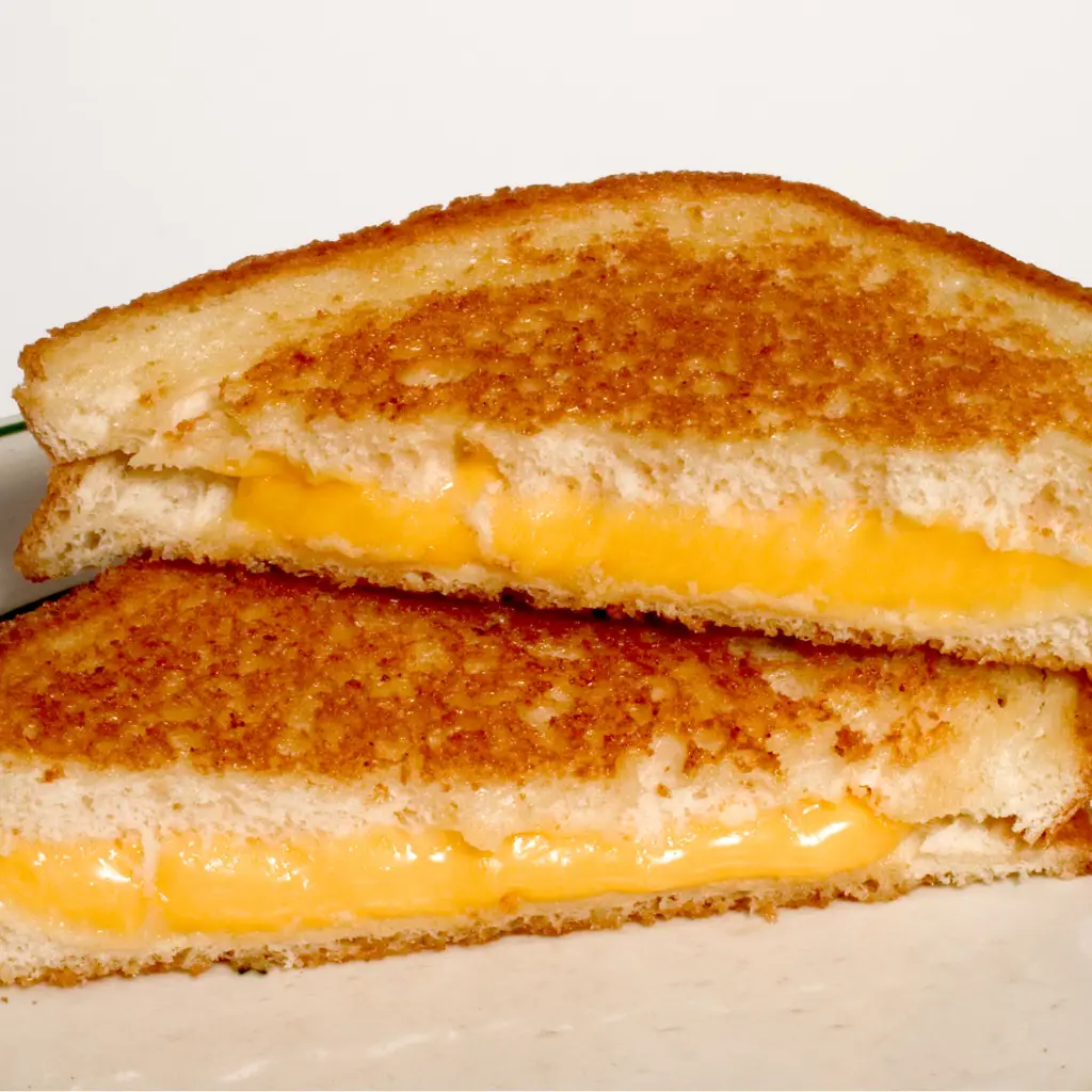 Vegan Cheeses & Fermented Alternative milks and cheese recipes