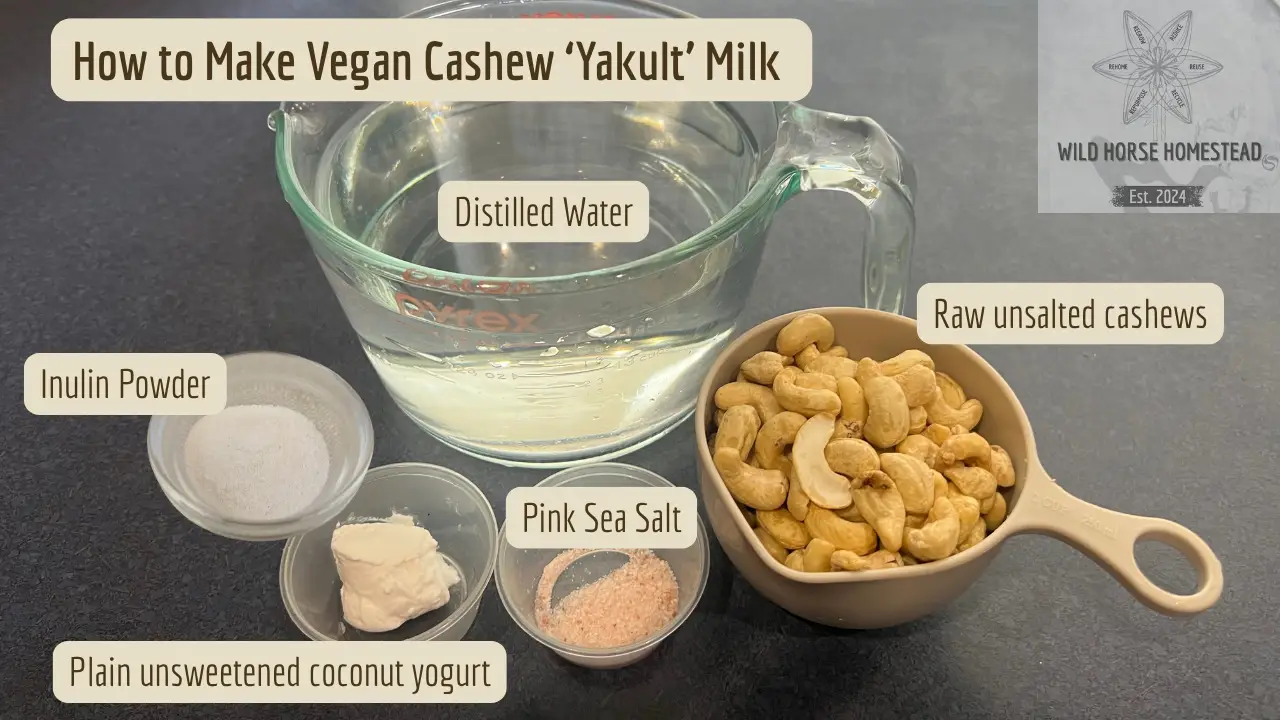 Vegan Cashew Milk Yakult-Style Probiotic Drink