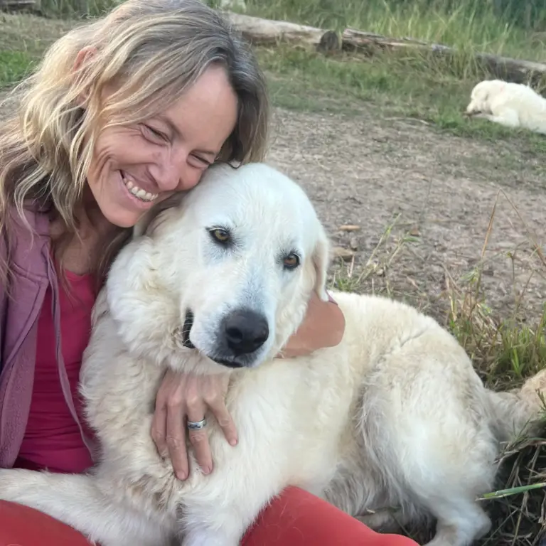 My Healing Journey: From Survival to Wholeness