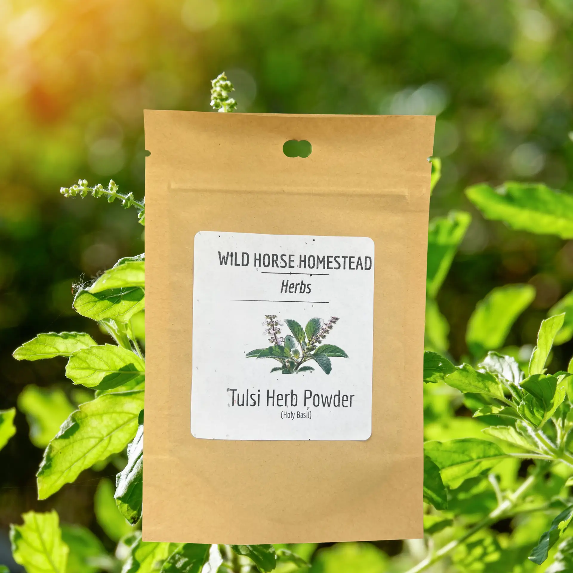 Wildgrown Tulsi (Holy Basil) Powder (50g)