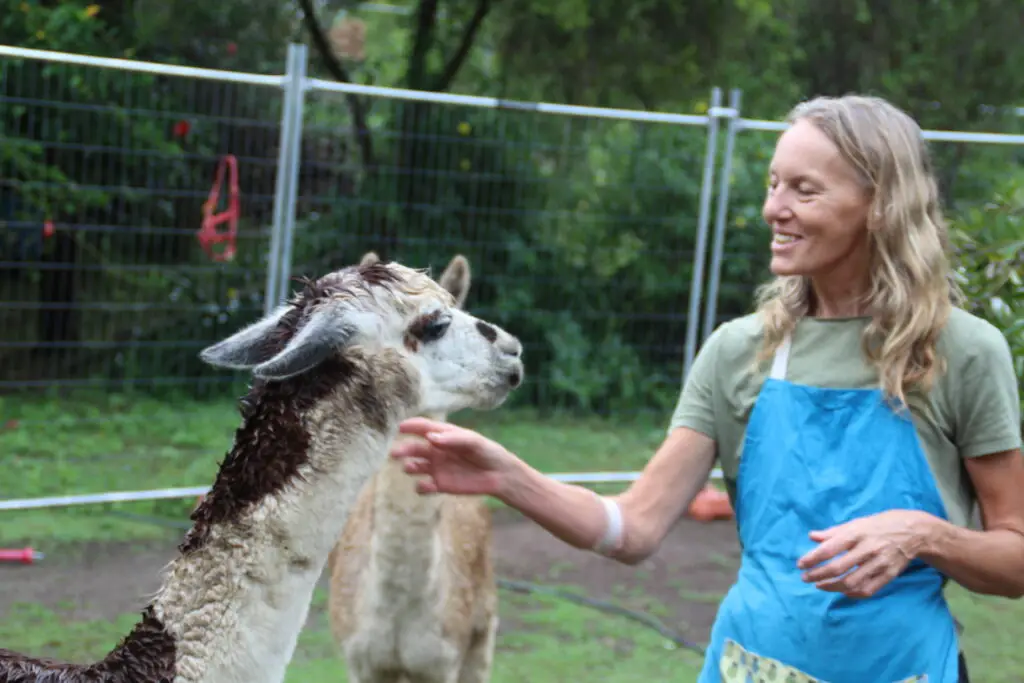 Michelle Cancer Survivor | Post-Treatment Recovery Advocate | Regenerative Living Practitioner