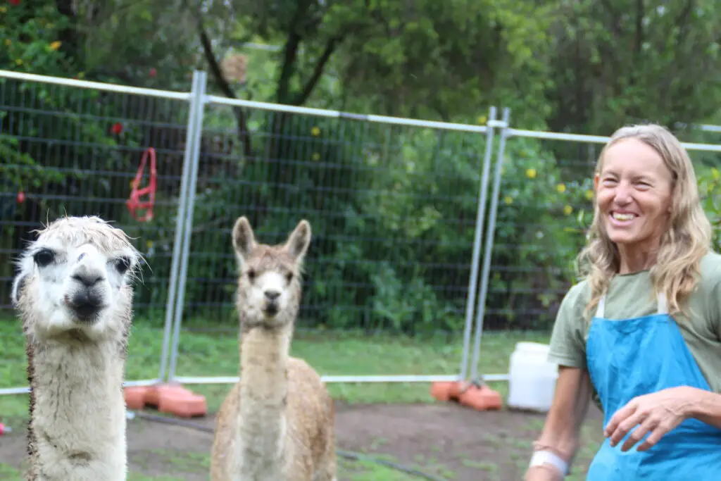 Michelle Cancer Survivor | Post-Treatment Recovery Advocate | Regenerative Living Practitioner