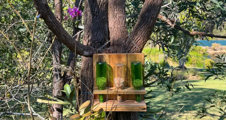 Wildhorse Woodworx Bird Feeder