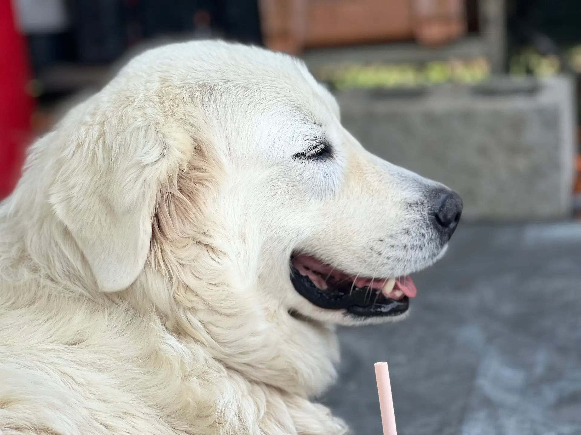 Luni